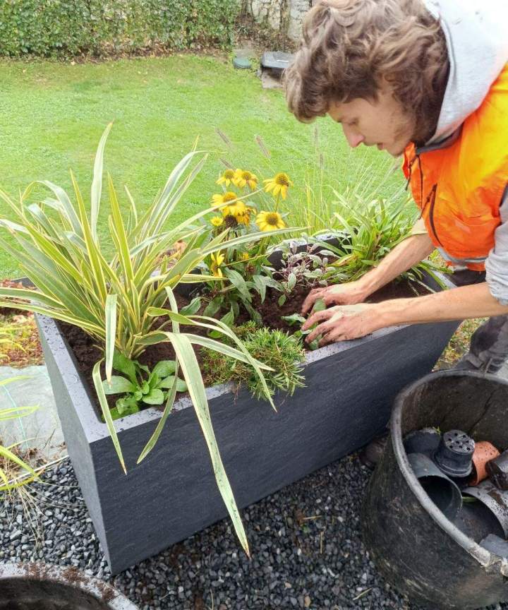 Embellissement de jardins pour les professionnels et les collectivités.