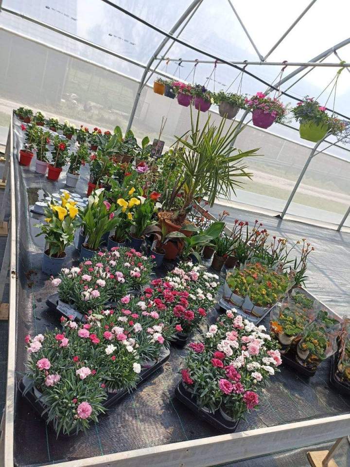 Magasin de jardinage en ligne Allouville-Bellefosse