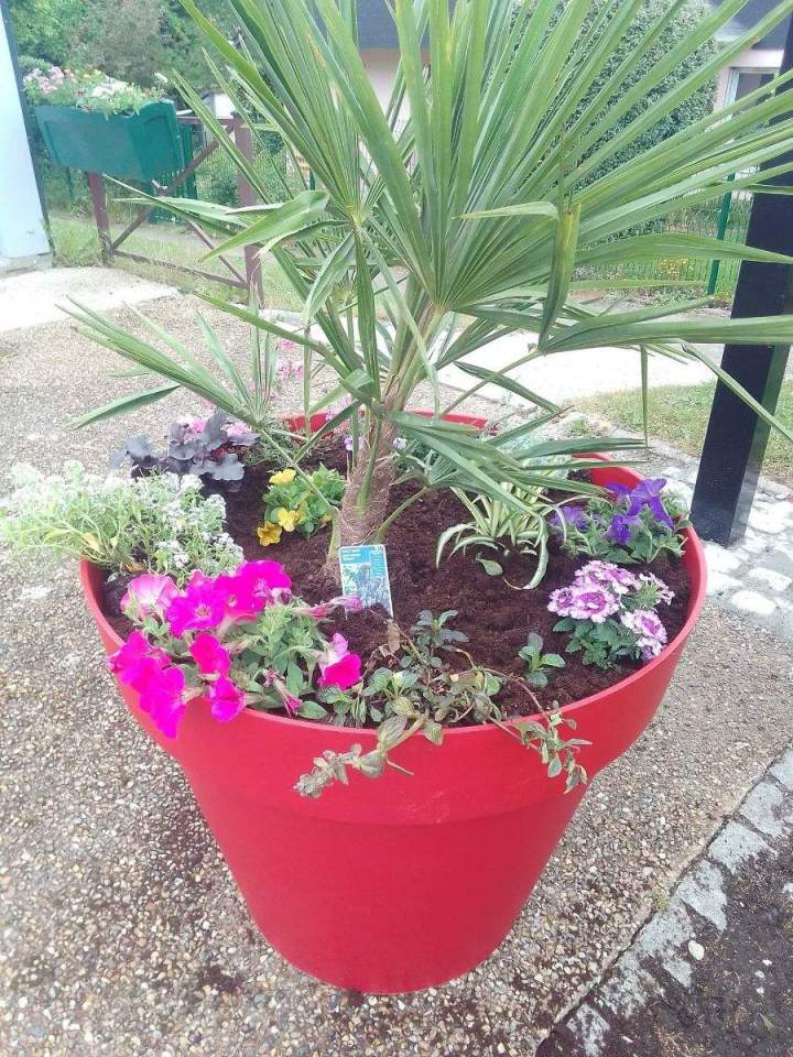 Jardinerie en ligne Allouville-Bellefosse