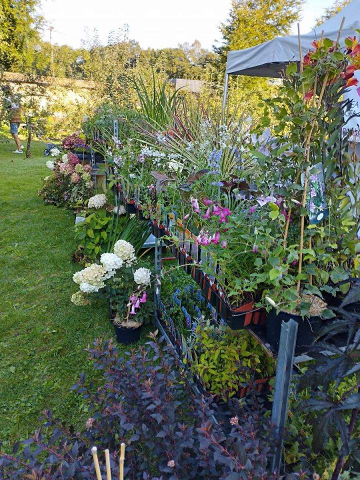 Jardinerie en ligne Allouville-Bellefosse