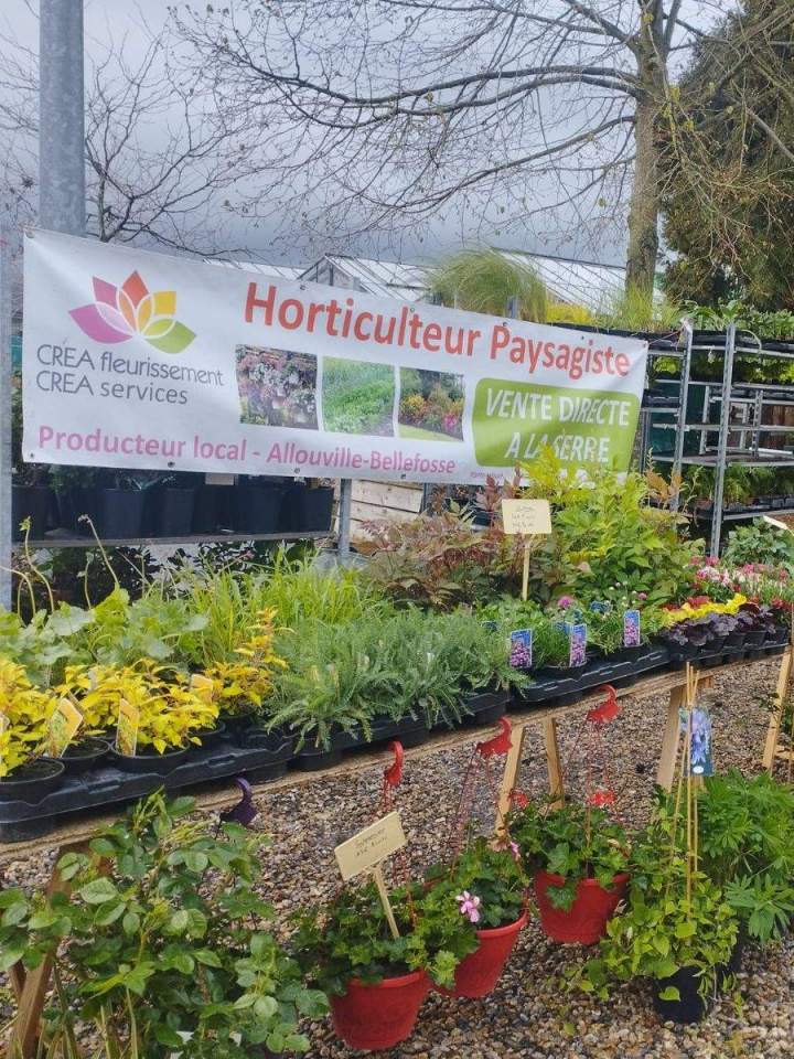 Vendeur de plantes Allouville-Bellefosse