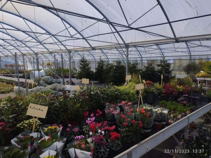 Magasin de jardinage en ligne Allouville-Bellefosse