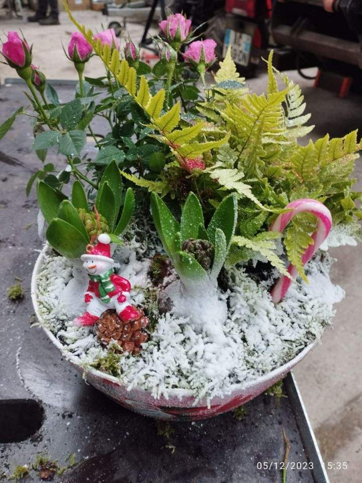 Vente de plantes Allouville-Bellefosse