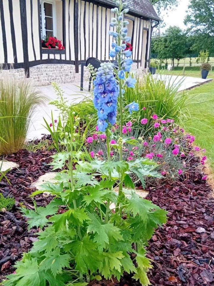 Entretien de jardins Allouville-Bellefosse