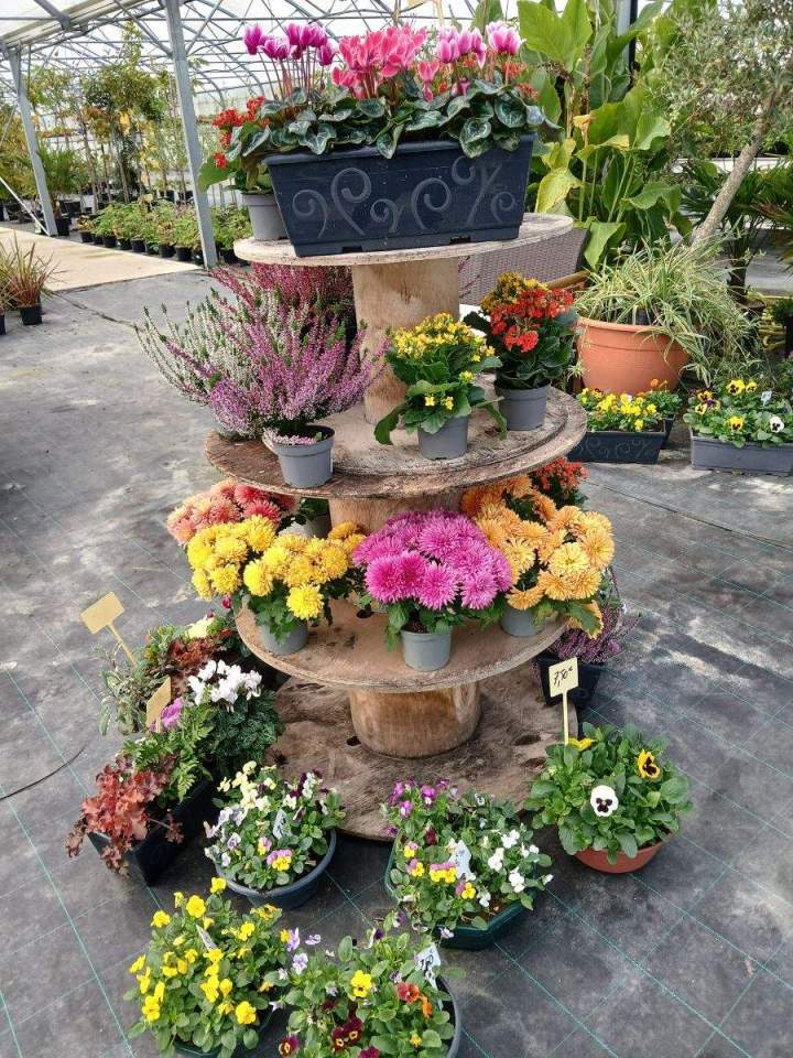 Vente de plantes Allouville-Bellefosse