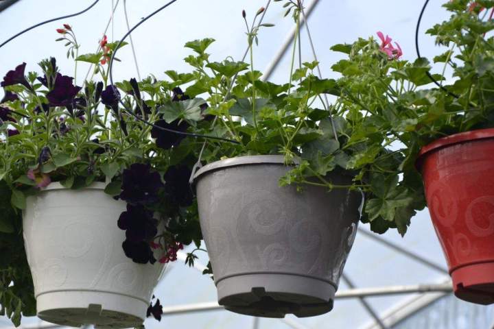 Magasin de jardinage en ligne Allouville-Bellefosse