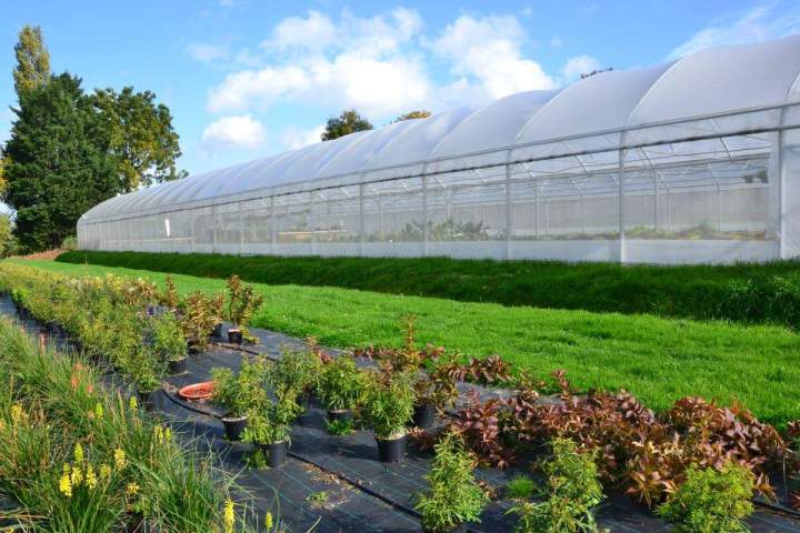 Jardinerie en ligne Allouville-Bellefosse