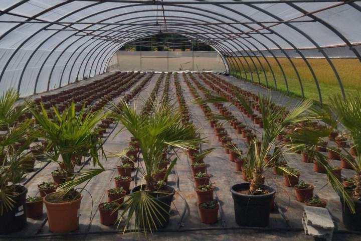 Magasin de jardinage en ligne Allouville-Bellefosse