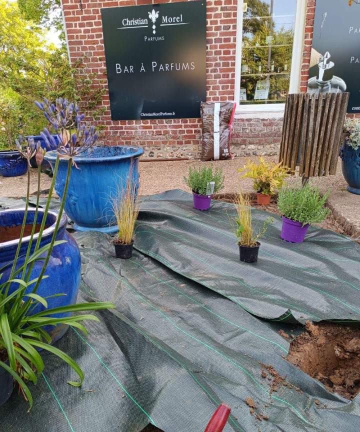 Professionnel de l’entretien de jardins Allouville-Bellefosse