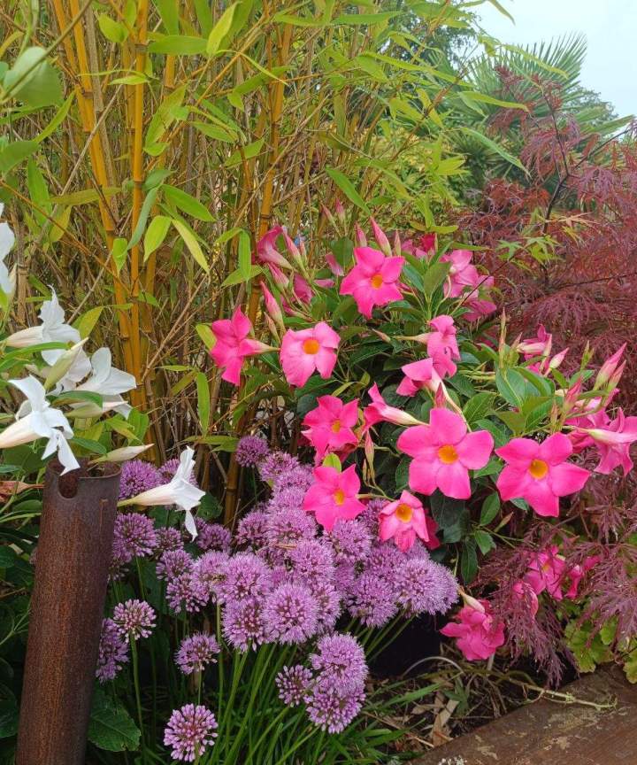 Entretien de jardins Allouville-Bellefosse