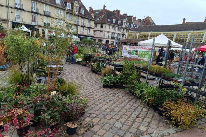 Magasin de jardinage en ligne Allouville-Bellefosse