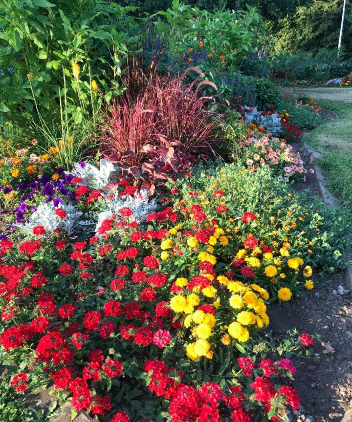 Professionnel de l’entretien de jardins Allouville-Bellefosse