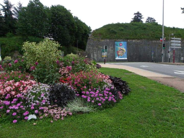 Plantation de massifs Allouville-Bellefosse