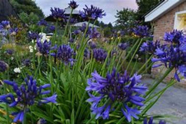 Entretien de jardins Allouville-Bellefosse