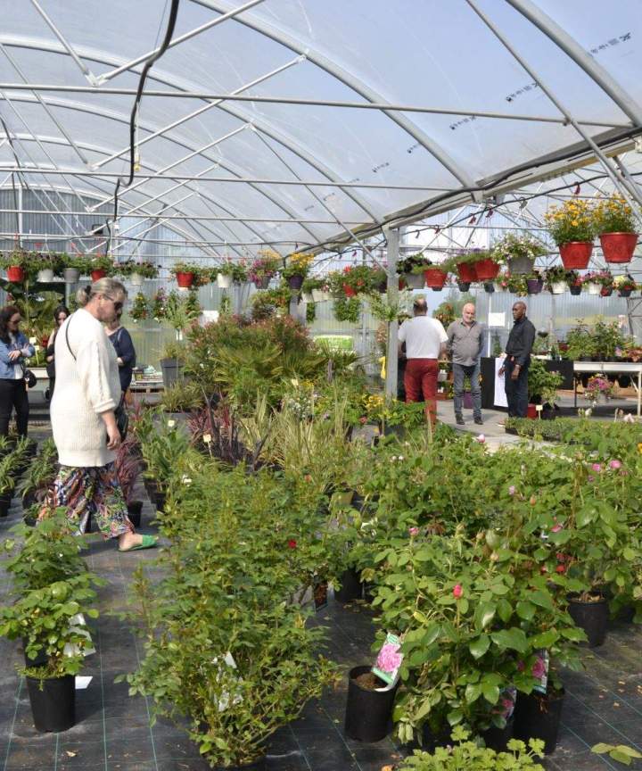 Mise en vente de végétaux et d’accessoires en ligne.